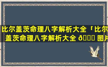 比尔盖茨命理八字解析大全「比尔盖茨命理八字解析大全 🍀 图片」